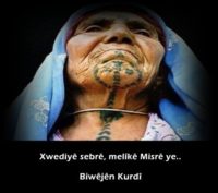 Biwêjên Kurdî…Kürtçe Deyimler