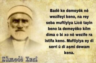 Ehmedê Xasî