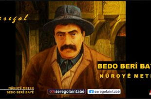 Nûroyê Meter