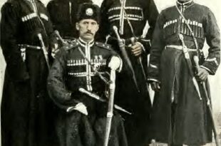 Alayên Hemîdîyê û Elmecîd Beg