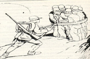 şahidê Serhildana Agirî û Şêx Seîd