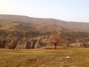 ŞIN – IŞT Û GÎN / QENDÎL ŞEYXBIZÎNÎ ŞIN – IŞT Û GÎN / QENDÎL ŞEYXBIZÎNÎ