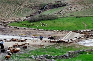 Geliyê Zîlan