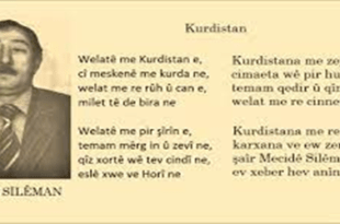 Mecîdê Silêman