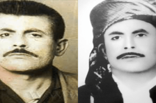 Cemîlê Horo